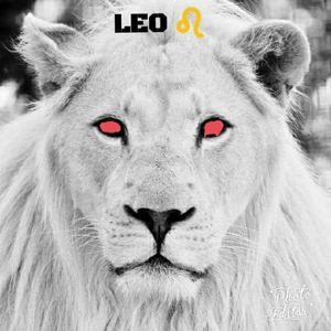 Meet your Posher, Ron